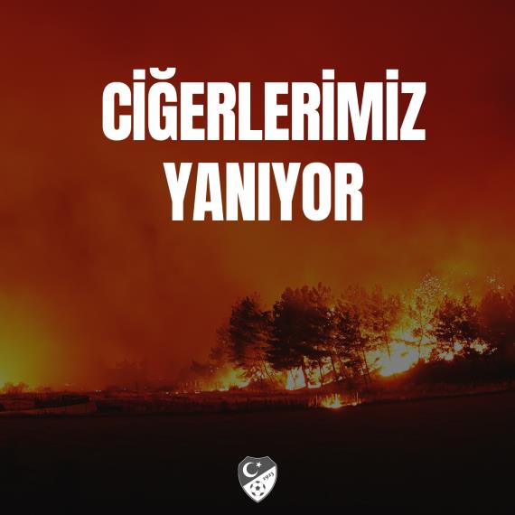Orjinal boyutlar iin tklaynz
